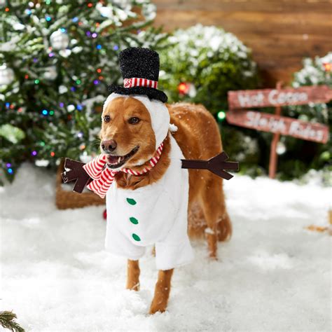 10+ Cute Christmas Costumes for Large Dogs - Hey, Djangles.