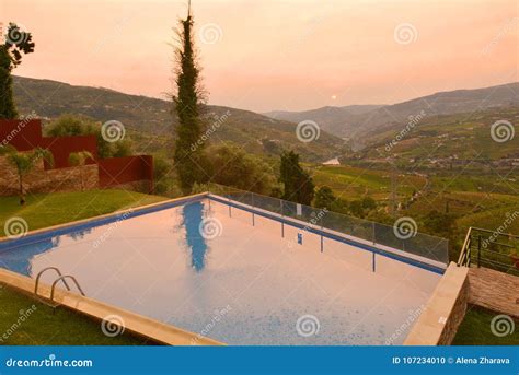 Vineyard at Peso Da Regua in Alto Douro Wine Region, Portugal Stock Photo - Image of regua ...