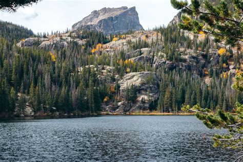 Are Dogs Allowed At Bear Lake Colorado