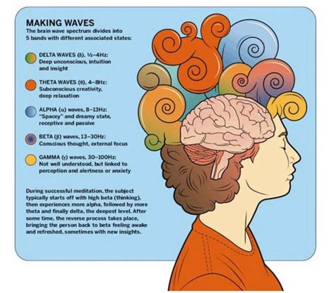 Brain Waves Explained – The Sound Journey Store - Canada's Largest Selection of Bowls, Gongs and ...