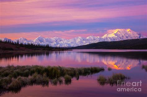 Denali Sunrise Photograph by Tom Pope - Fine Art America