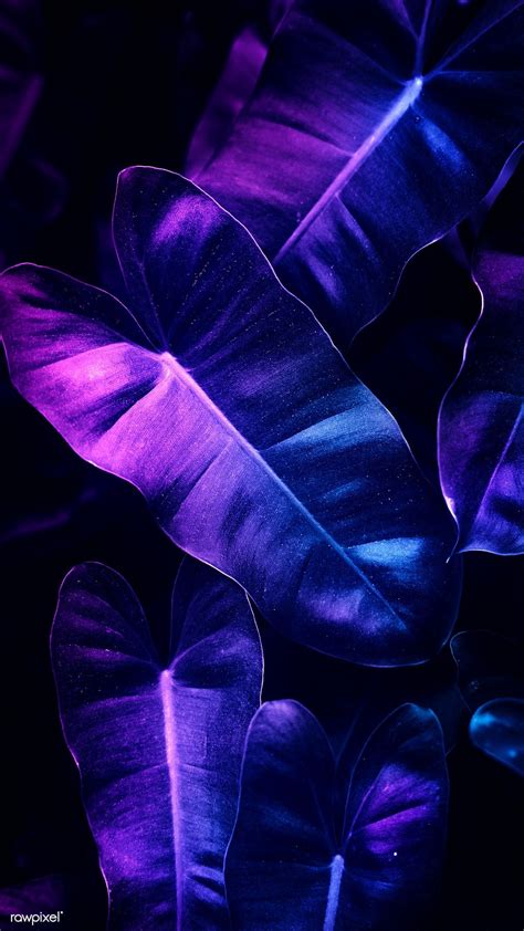 Anthurium leaves mobile screen wallpaper, 4k iphone and mobile phone wallpaper | premium image ...