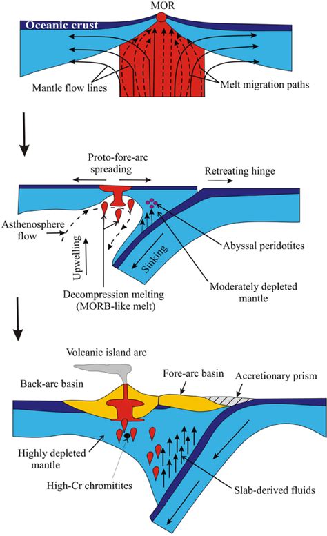 Schematic illustration showing the generation of the ANS ophiolites in ...