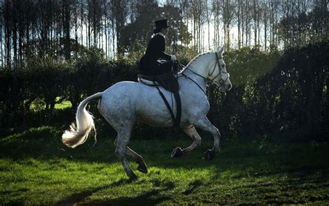 Amy Bryan Dowell riding Ceilis Bouncer side saddle, fox hunting with the Cheshire Forest Hunt ...