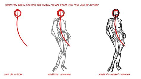 Studying The Human Figure on Behance