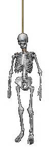 Free Skeleton Animation Gifs at Best Animations