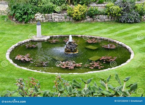 Lily pond in a park stock photo. Image of horticulture - 55133244