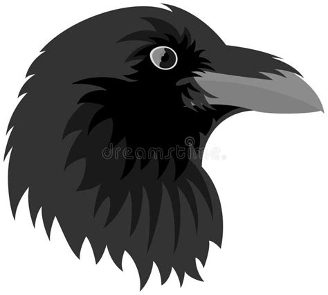 Raven Head stock vector. Illustration of isolated, cartoon - 65914673