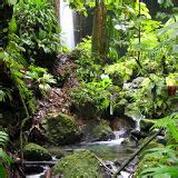 Grenada: Spices, Mona Monkeys, & Annandale Falls – The Next Journey by Dream Vacations