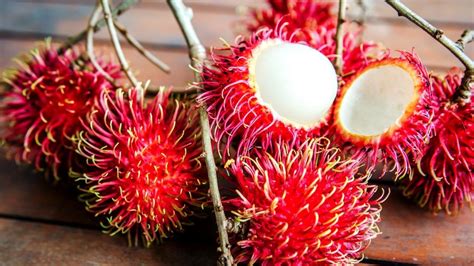 The rambutan−fruit tree: A sustainability story