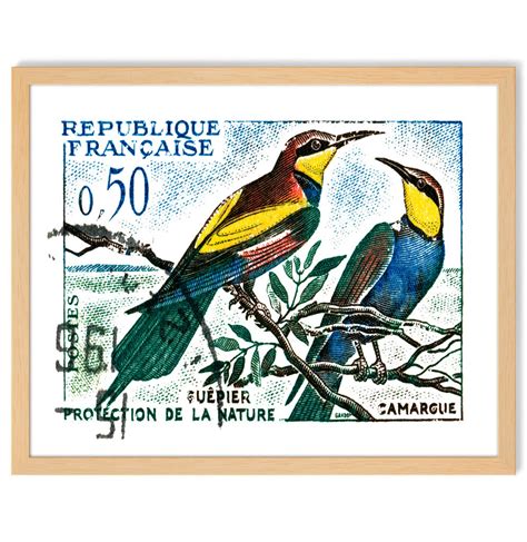 Bird Wall Art Print French Art Poster Print French Country - Etsy