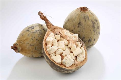 Baobab Tree: Do its Benefits Make it the Best Super Fruit in History?