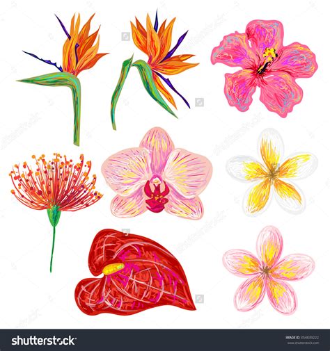 Tropical Flower Drawing at GetDrawings | Free download