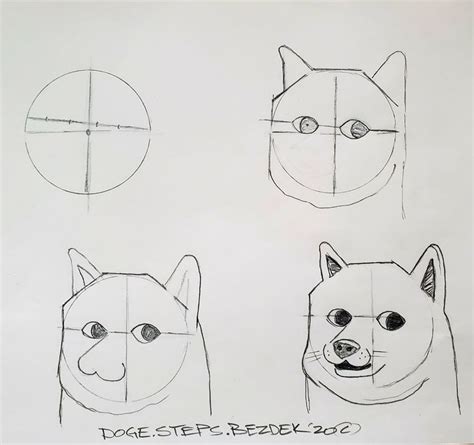 How to Draw a Doge Step by Step