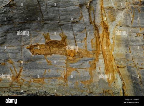 Australia, Tasmania, Eaglehwk Neck, Forestier Peninsula, Tessellated Pavement Stock Photo - Alamy