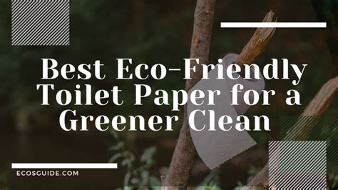 The Best Eco-Friendly Toilet Paper Brands In 2024 For You