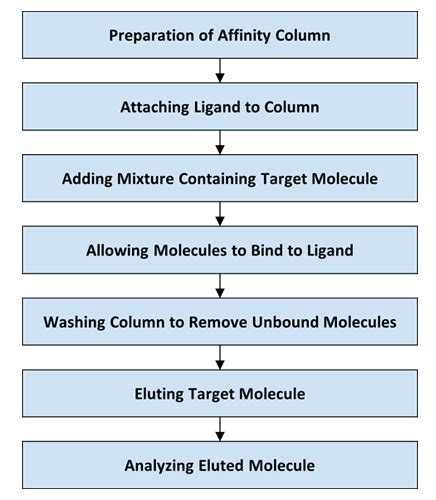 Affinity Chromatography Overview | VWR