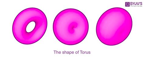 Toric Lens - Types | Functionality - Ray of Light & Radius of Curvature