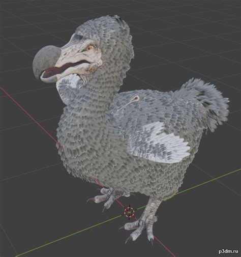 Dodo 3D Model - 3DHunt.co