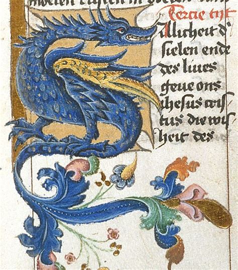 medieval art illustration dragon - Enda Walth