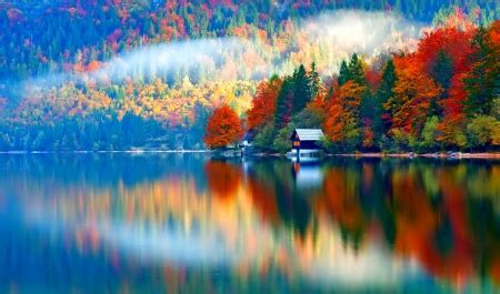 October - Other & Nature Background Wallpapers on Desktop Nexus (Image ...