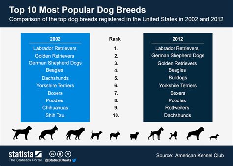 Top Most Aggressive Dog Breeds Top Sellers | pattaya555.xsrv.jp