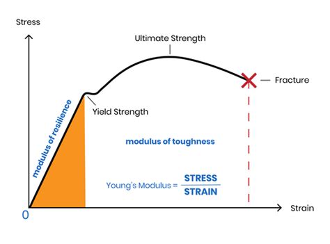 What is Young’s modulus (with 3D printing materials)? | LaptrinhX