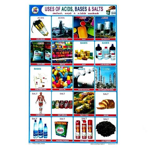 Uses Of Acids, Bases & Salts School Project Chart Stickers - Clickere