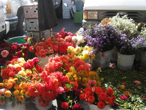 Flowers at the farmers market by Nia36 on deviantART