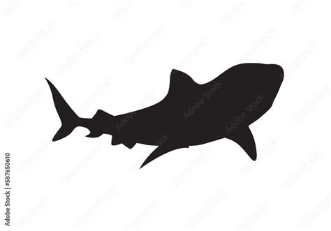 Humpback whale swimming silhouette vector isolated on white. Stock ...