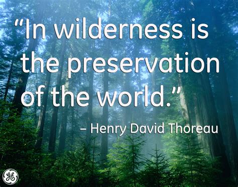 Welcome to Facebook - Log In, Sign Up or Learn More | Thoreau quotes, World, Explore outdoors