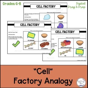 Cell Organelle Analogy Digital Activity| Cell Factory | TPT