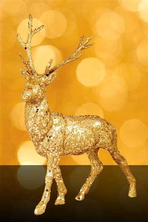 Golden Reindeer Free Stock Photo - Public Domain Pictures