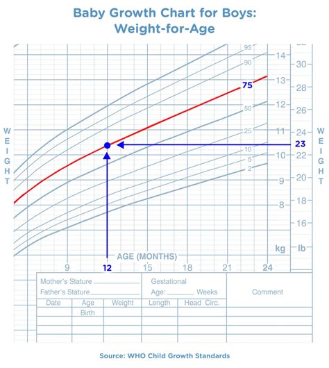 Baby Weight & Growth Charts | Pampers UK