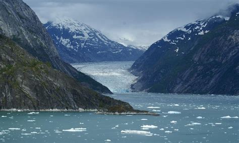 Endicott Arm Fjord (Alaska) cruise port schedule | CruiseMapper