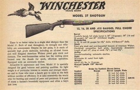 Winchester Model 37 | Gun Wiki | Fandom