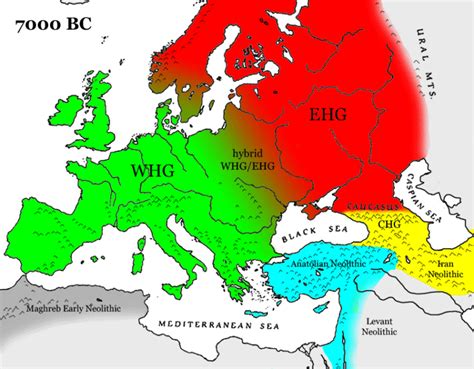 Proto-Indo-European homelands – ancient genetic clues at last? Ancient ...