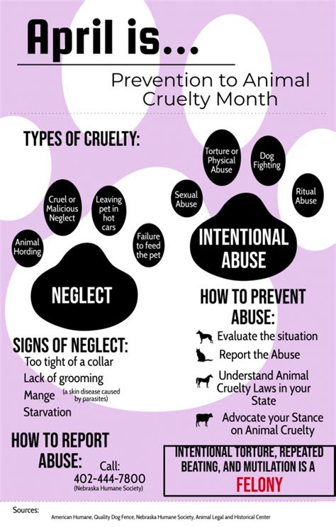 Animal cruelty prevention month – The North Star