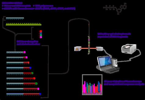 Sanger sequencing - Alchetron, The Free Social Encyclopedia