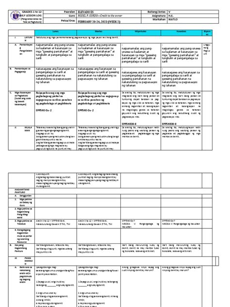 Grade 5 DLL H.E. 5 Q3 Week 2 | PDF