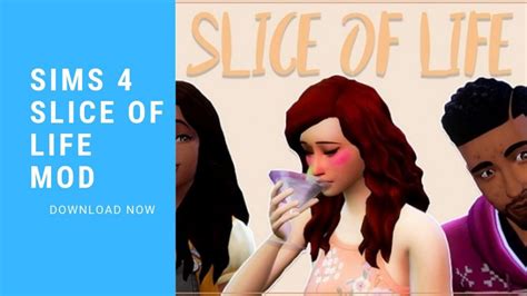 Download The Sims 4 Slice of Life Mod Sims 4 [Latest] | SOL Mod