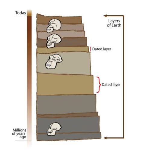 Methods To Determine The Age Of Earth - The Earth Images Revimage.Org