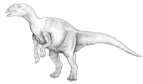 Hadrosaurus | Wiki | Everipedia