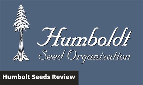 Humboldt Seeds Review 2021 - GreenBudGuru