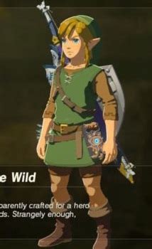 Tunic of the Wild | Zeldapedia | FANDOM powered by Wikia