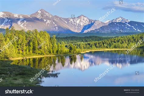 142,348 imágenes de Taiga - Imágenes, fotos y vectores de stock | Shutterstock