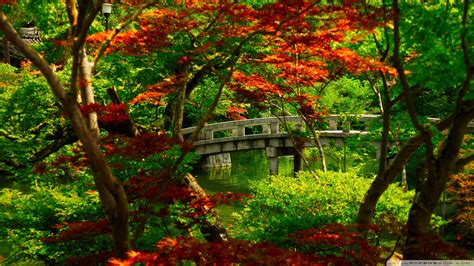 Japanese Garden wallpaper | 1920x1080 | #30648