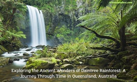 Exploring the Ancient Wonders of Daintree Rainforest: A Journey Through Time in Queensland ...