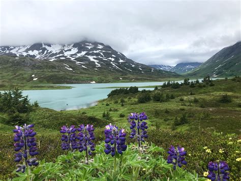 Lost Lake via Primrose Trail. Seward, Alaska : r/alaska