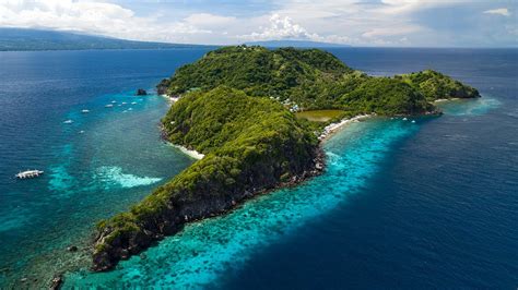 Apo Island View Point 🇵🇭 Dauin Philippines - YouTube